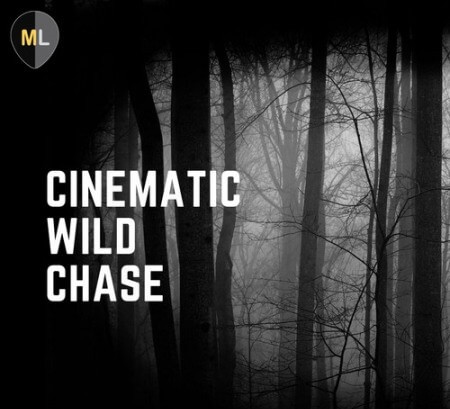 Mango Loops Cinematic Wild Chase Vol.1 WAV AiFF